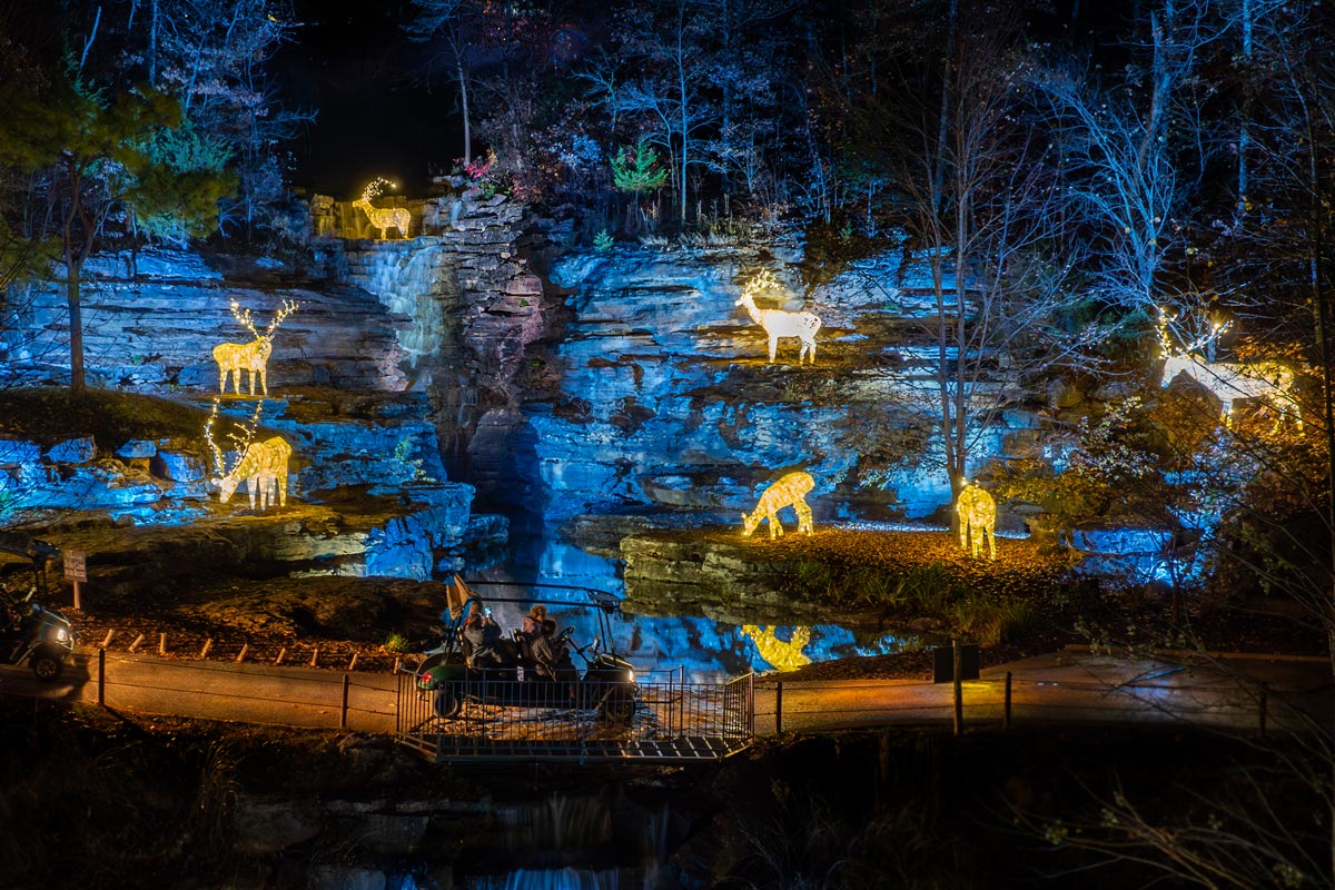2023_TopoftheRock_LCCNT_NatureatNight_Nature-at-Night-1 2023_TopoftheRock_LCCNT_NatureatNight_Nature-at-Night-1