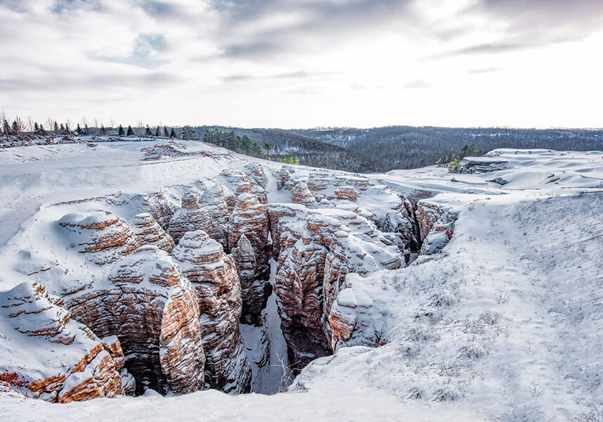 2025_TOR_CathedralOfNature_Gallery5_900x600