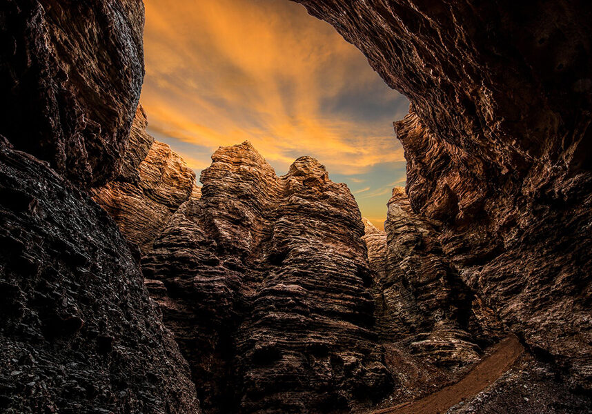 2025_TOR_CathedralOfNature_Gallery_900x600