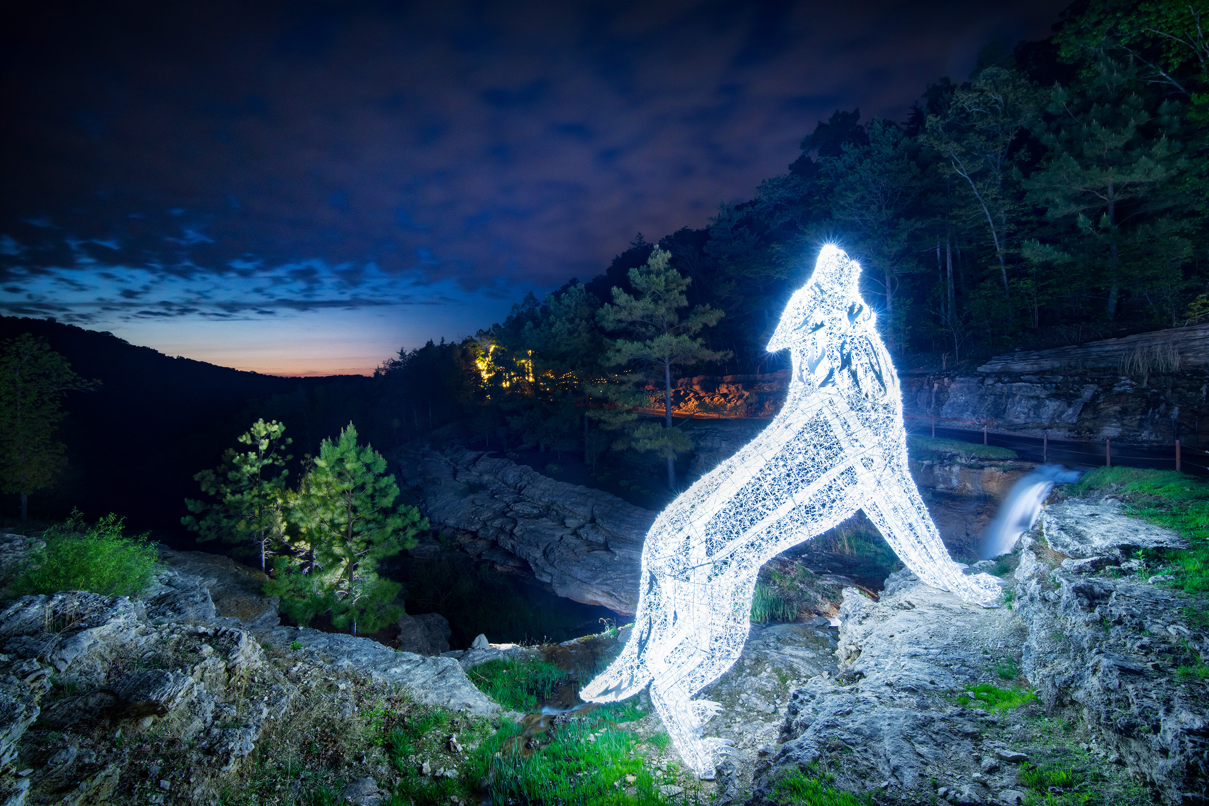 2025_TOR_NatureAtNight_WebHeader_2490x1660 2025_TOR_NatureAtNight_WebHeader_2490x1660