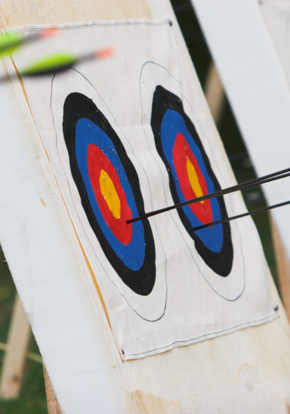 ozark-olympics Archery side view of target wit harrows