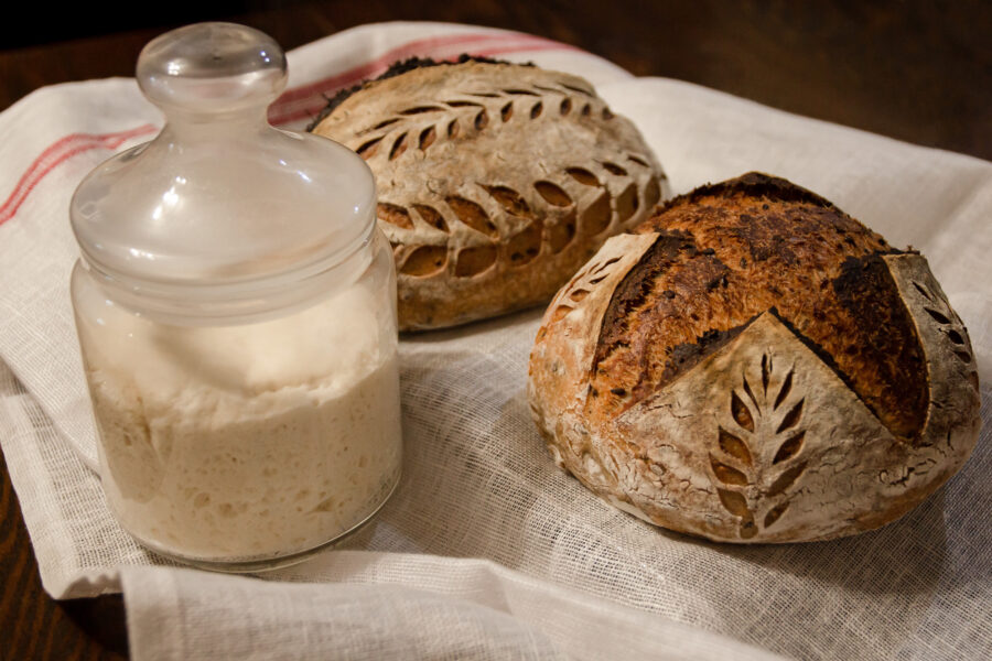 Sourdough for bread at home. Cultivation of sourdough for cooking wholesome bread.