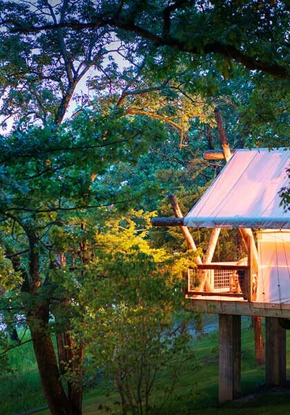 CLC-GLamping-Tent-Glow Camp Long Creek Glamping tent in evening glow surrounded by trees