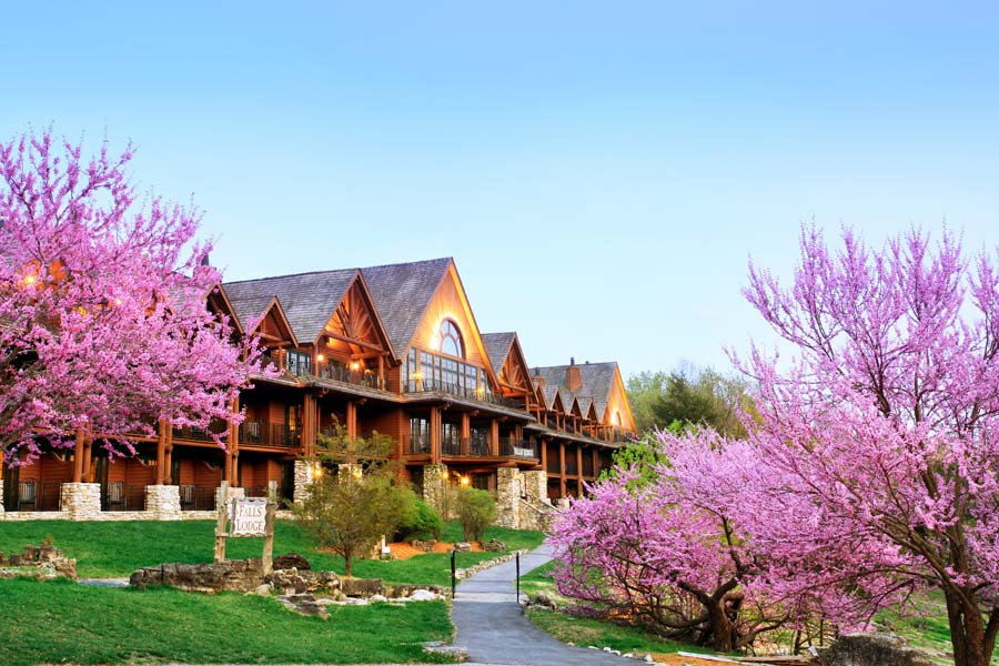Falls Lodge with blooming Redbud trees during Spring at Big Cedar Lodge.