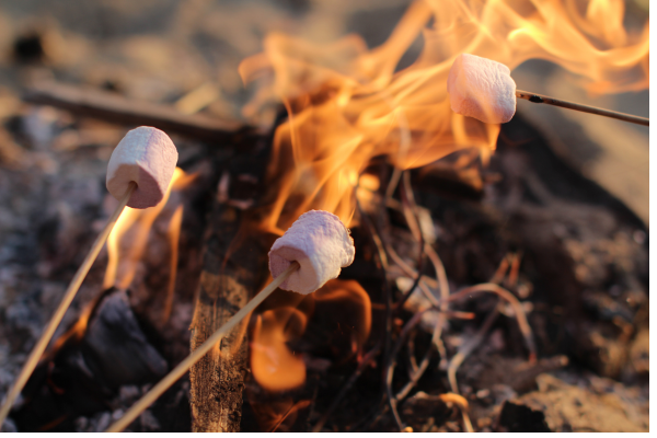 bonfire bonfire, roasting s'mores
