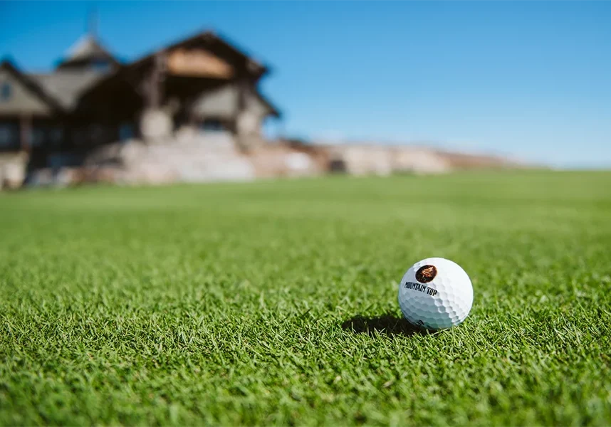 putting complex close up golf ball on green